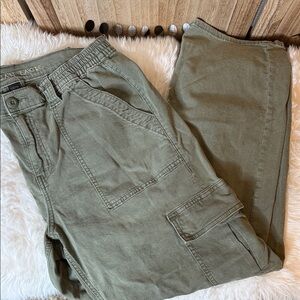American Eagle Outfitters Olive Green Cargo Pants